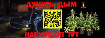 МДПВ Лесосибирск